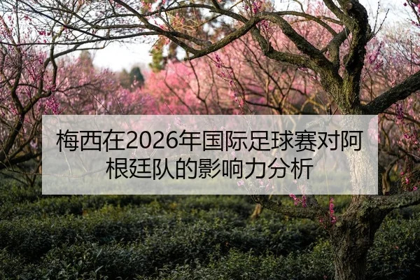 梅西在2026年国际足球赛对阿根廷队的影响力分析